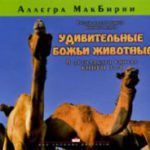 Удивительные Божьи животные 3-4
