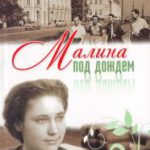 Малина под дождем