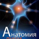 Анатомия души