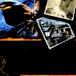 Техасская трилогия. Книга 1. Венок из маргариток