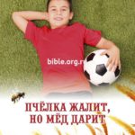 Пчёлка жалит, но мёд дарит